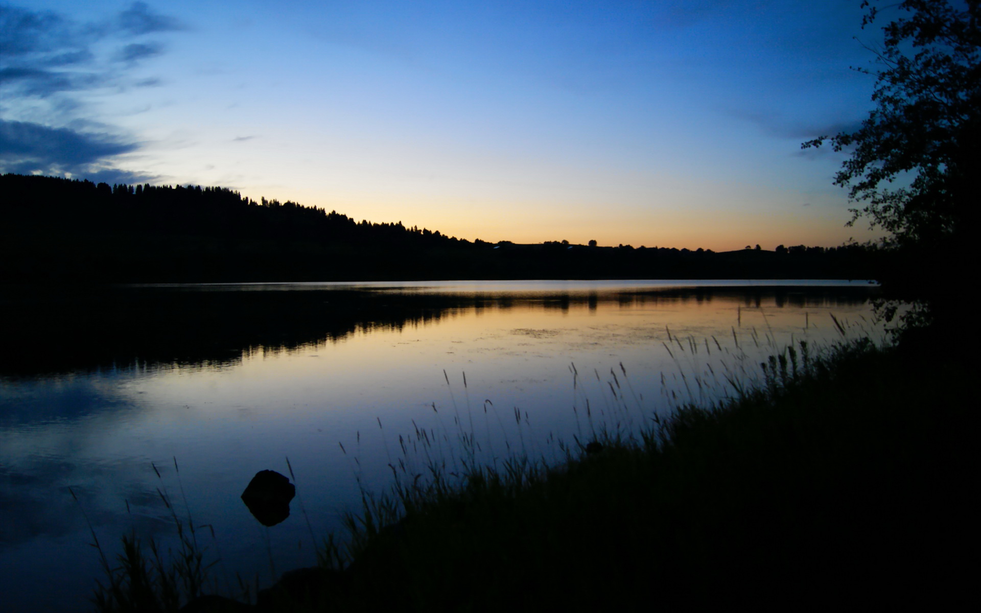 布伦森隔空降维打击？当76人击败新疆队，我们到底在看什么